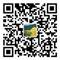 网信彩票welcome登陆